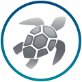 BR20_SEAQUAL_ICON_REV_Web BR20_SEAQUAL_ICON_REV_Web